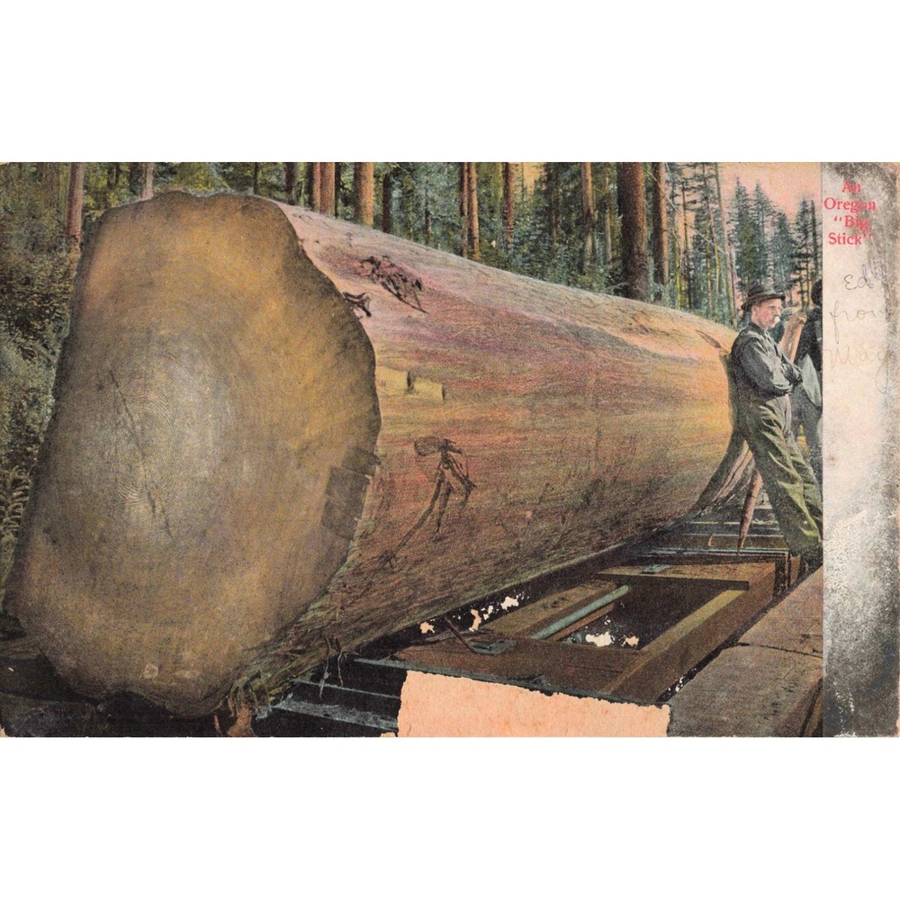 Vintage Oregon Big Stick Logging Postcard J.K. Gill Co M. Rieder Germany No 4014 - Picture 1 of 2